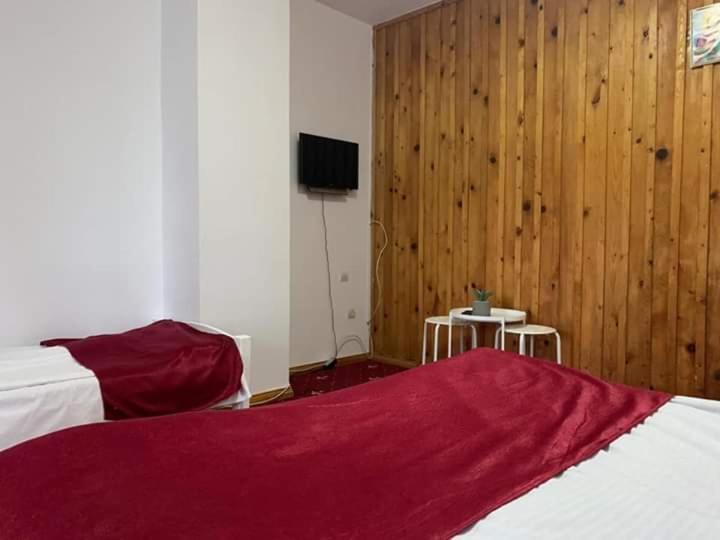 Vila Sofia Predeal Ngoại thất bức ảnh