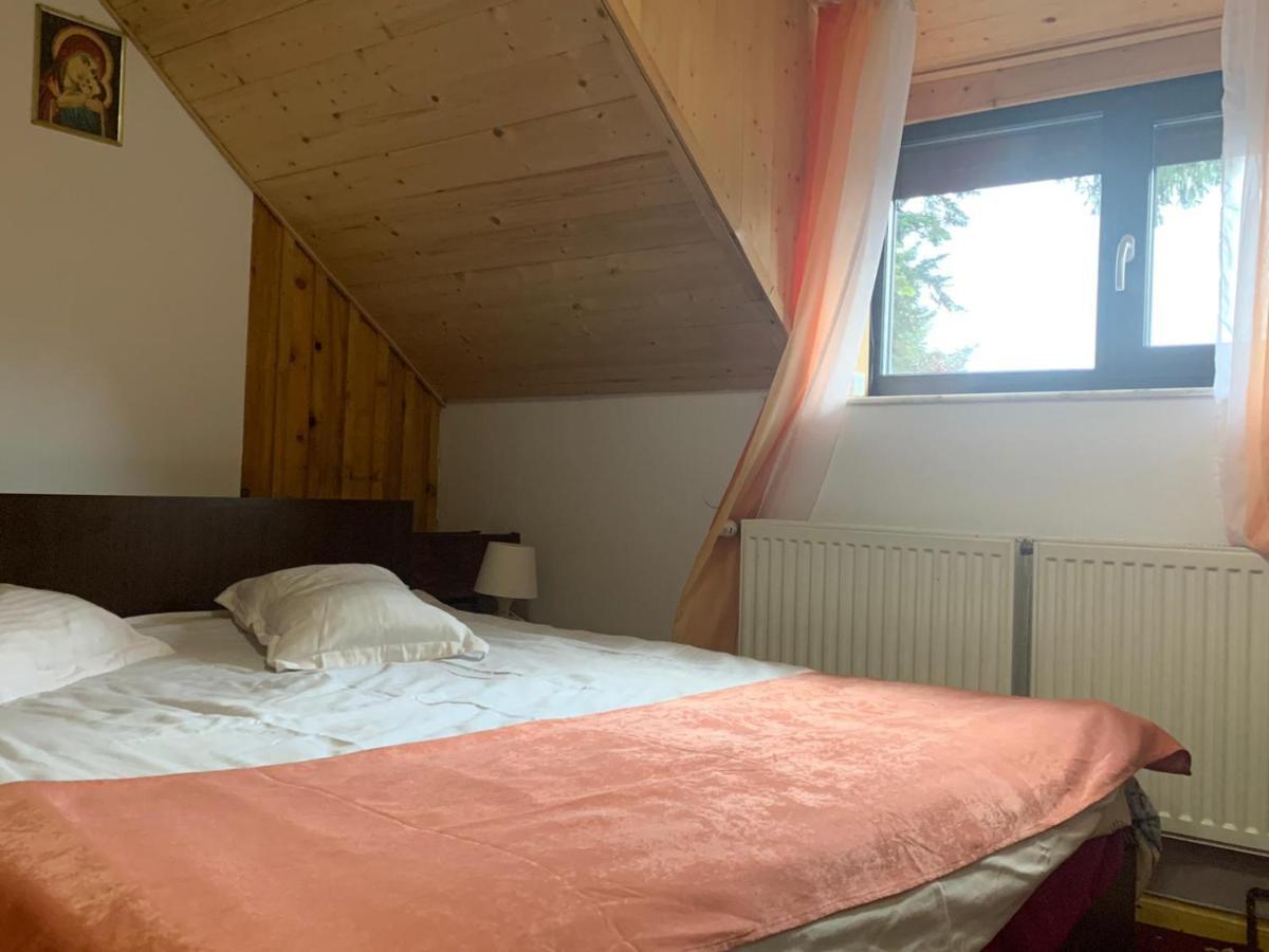 Vila Sofia Predeal Ngoại thất bức ảnh