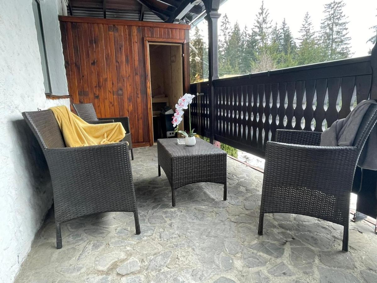 Vila Sofia Predeal Ngoại thất bức ảnh