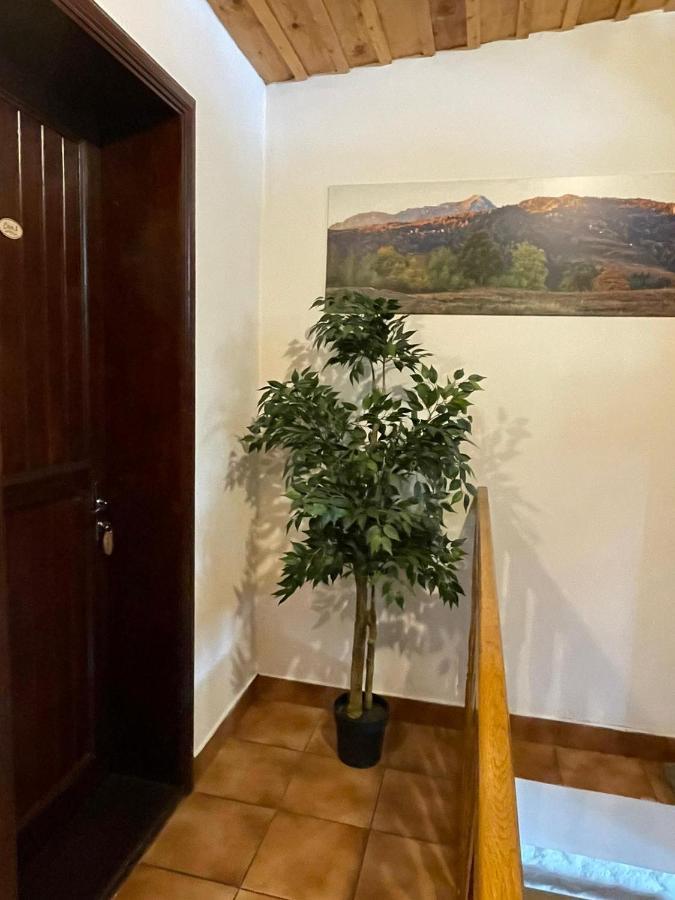 Vila Sofia Predeal Ngoại thất bức ảnh